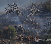 APTOPIX California Wildfire