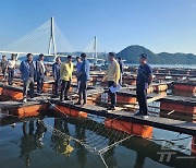 양식수산물 재해보험 고수온 예비특보 기준 완화…28→25도