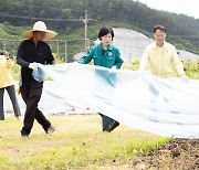 [정책 인사이트] 소똥의 변신… ‘녹조라떼’ 주범에서 발전 연료로