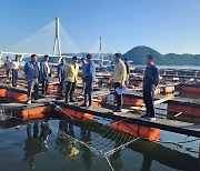 전남도 "여름철 양식수산물 재해보험 가입 서두르세요"