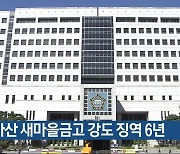 아산 새마을금고 강도 징역 6년