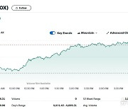 엔비디아 0.68% 하락에도 반도체지수 1.6%↑ 사상최고(종합)