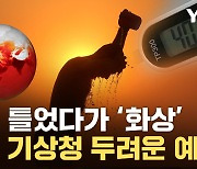 [자막뉴스] 미친 듯 올라가는 온도계 숫자...사람 죽이기 시작한 인도 날씨