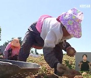 온열 질환 해마다 증가…올 여름 더위 걱정