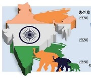 "코끼리 올라타자" 인도펀드 1100억 뭉칫돈