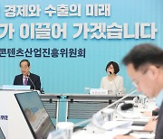 한덕수 총리 주재 제8차 콘텐츠산업진흥위 회의