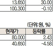 인도법인 IPO에 52주 최고가 쓴 현대차 순매수 1위 [주식 초고수는 지금]