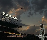 APTOPIX ants Cubs Baseball