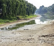 China Floods