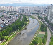 [대구] 신천에 '수상 프러포즈 공간' 조성