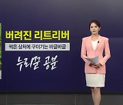 들쭉날쭉한 동물 학대 처벌... 양형 기준 손 본다 [앵커리포트]