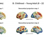 똑똑한 자녀 만들려면..."두뇌성장 12~18세때 좌우"