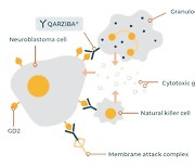 식약처, 신경모세포종 치료제 ‘콰지바주’ 허가