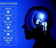 얽히고설킨 뇌질환… 치매환자 22%에 뇌전증, 자폐 10%도 뇌전증[이진형의 뇌, 우리 속의 우주]