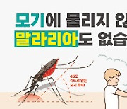 "말라리아 조심하세요"…경기도 파주시에 올해 첫 '말라리아 경보' 발령