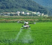 여주시, ‘올 여름 집중호우 예보’ 도열병 사전 방제