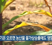 “기온 오르면 농산물 물가상승률에도 영향”