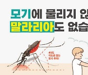 경기도, 파주시에 올해 첫 말라리아 경보…심층 조사 예정