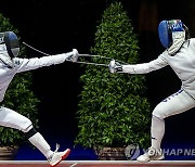 SWITZERLAND FENCING