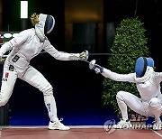 SWITZERLAND FENCING