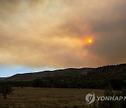 New Mexico Wildfires