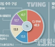 티빙-웨이브 합병, 소강상태...에스엘엘중앙·KT 등 '이견'