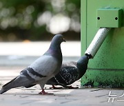 [오늘의 날씨]대구·경북(20일,목)…기온 소폭 하락, 안동 낮 최고 34도