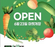 괴산군 '그린 오가닉 마켓' 개장…친환경 농산물 판매