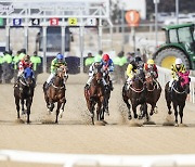 한국마사회, 21일부터 온라인 마권발매 정식운영