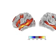 [사이언스 카페] 생각하려면 언어가 필요할까? 美 MIT 연구팀 “언어는 사고의 전제 조건 아니야”