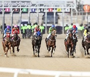 한국마사회 "21일부터 온라인 마권 구매 가능"