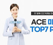 한투운용 ACE 미국빅테크TOP7 Plus ETF, 한 달째 개인순매수 지속