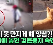 [씬속뉴스] 강아지 못 만지게 했다고 이러나?…남의 가게 앞 투척한 검은 봉지 속엔