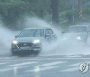 제주 서귀포 220㎜ 물폭탄…"80년만에 한번 발생할 강우량"(종합)