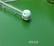 더울 땐 ‘녹조라떼’[정동길 옆 사진관]