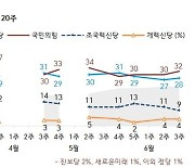 국힘 32%·민주 28%…조국혁신당 9%[한국갤럽]