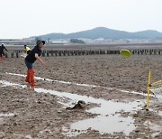 '갯벌로 풍덩∼ 더위야 가라∼' 무안 황토갯벌 축제 막 올라