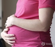 OECD 합계출산율 60년새 반토막…'꼴찌' 한국은 8분의1로 추락