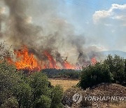 GREECE WEATHER WILDFIRES