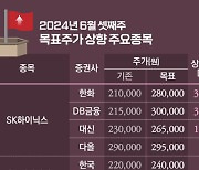 [청기홍기]SK하이닉스 독주 계속된다…'30만닉스' 전망까지