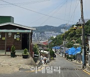 [요이땅]달동네 극복하고 숲세권 노리는 '홍제동 개미마을'