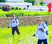 노동신문, 최고지도자 현지지도 업적 조명…은파군 대청농장