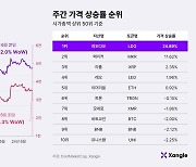 [주간코인시황] 가상자산법 시행 앞두고 불안감 커진 코인 시장