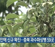 일주일 만에 신규 확진…충북 과수화상병 59곳