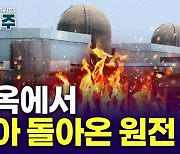 사라질 줄 알았는데…"엔비디아보다 중요" 뭉칫돈 쏟아진 곳 [노유정의 의식주]