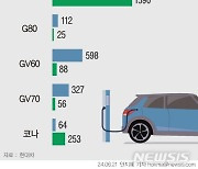 부진한 국내 판매…아이오닉9 돌파구 만들까[현대차 북미 전기차 시대③]