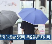 전북 내일까지 5~20mm 장맛비…목요일부터 다시 비