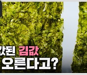 [더 보다] 금값된 김값