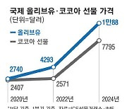 엘니뇨에 코코아값 3배로 폭등