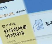 '악성 임대인' 평균 19억 원 떼먹어…최대 707억 원